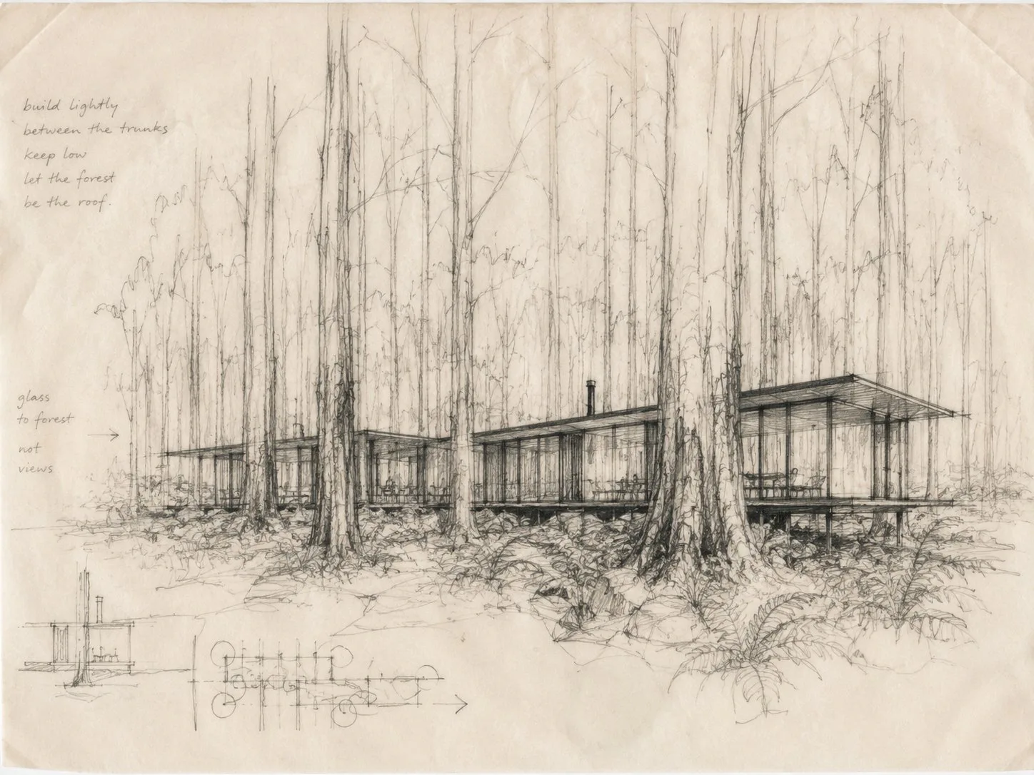 Original sketch of house in forest 