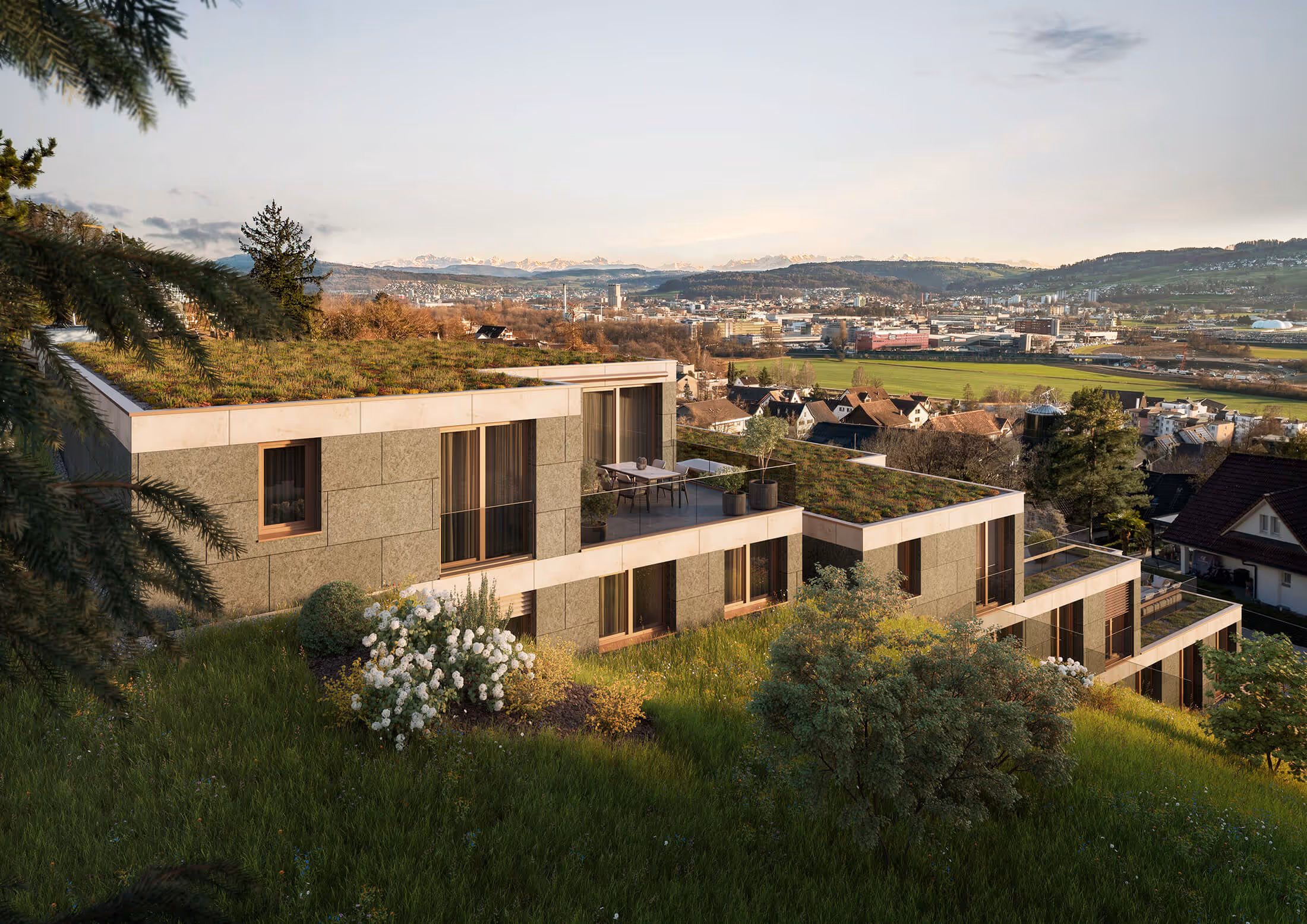 Wild AG – Cholhölzli im Limmattal – terrassierte Neubau-Wohnüberbauung mit 10 exklusiven Terrassenwohnungen in Hanglage – Aussenansicht